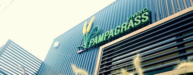 Pampa Grass: ingeniería aplicada a lo verde
