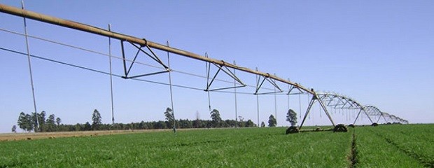 El riego puede generar más trabajo y de manera sustentable