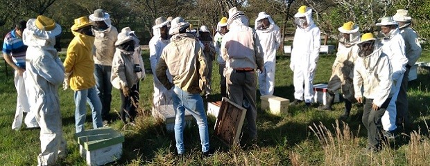 Aprueban crédito internacional para el sector apícola