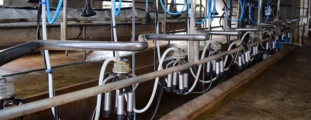 En Expoagro, Entre Ríos anunció créditos con tasa bonificada