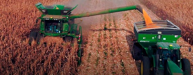 Maíz en Entre Ríos: los rindes que deja la campaña