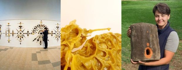 Abejas, arte y territorio: otra forma de mirar el agro