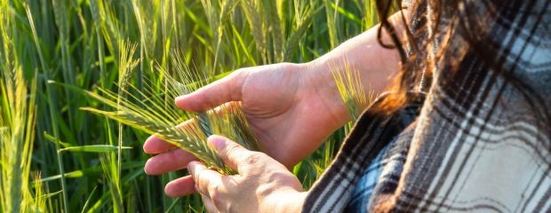 Seguros en el agro: clave ante la incertidumbre