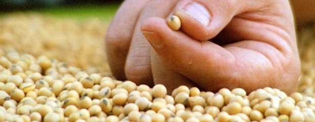 Aprueban una nueva estructura organizativa del INASE