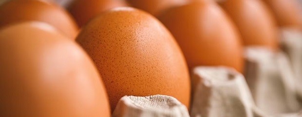 El huevo busca una rebaja impositiva