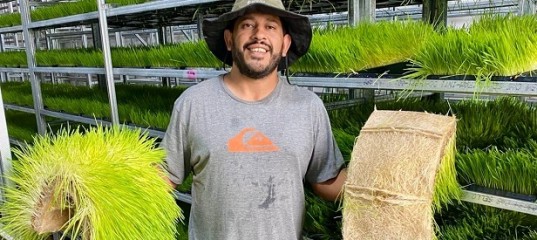 La hidroponía forrajera gana protagonismo en Gualeguaychú