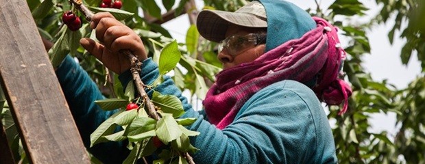 El RENATRE actualizó el monto de la Prestación por Desempleo