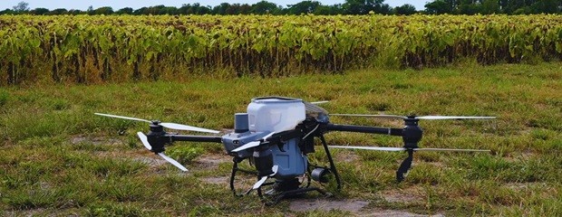 Con drones y algoritmos, reducen el uso de nitrógeno