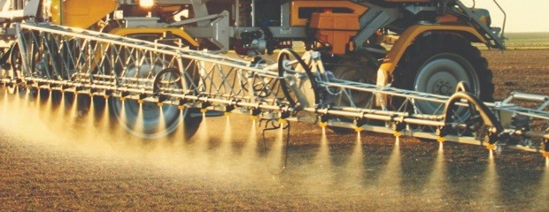 Amparos por fitosanitarios: etapa clave en Entre Ríos