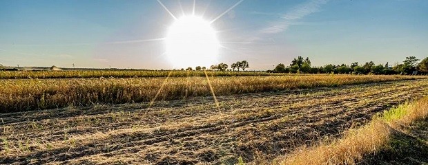 La actividad inmobiliaria rural cayó en marzo