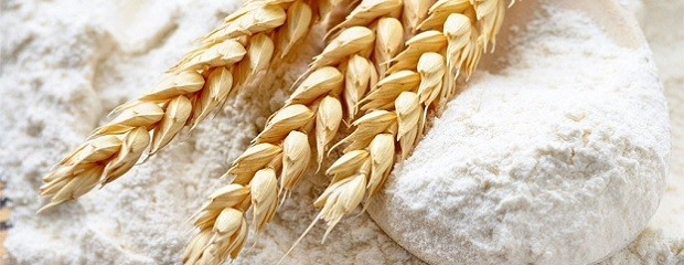Molinos pagaron más, pero no consiguieron trigo suficiente