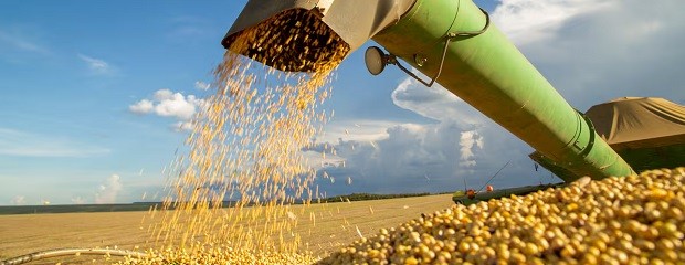  La liquidación de granos cayó 11% interanual 