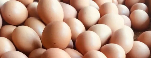 Argentina lidera el consumo mundial de huevos