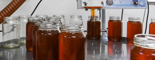 Exportaciones de miel alcanzaron récord en volumen y valor