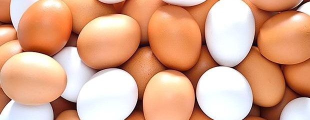 Argentina completó la cuota de exportación de huevos a la UE