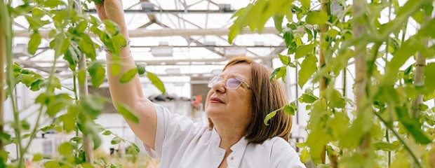 La ciencia argentina cosechó un premio internacional