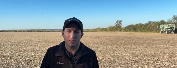 Agrofe Campo acompaña al productor en la siembra de colza