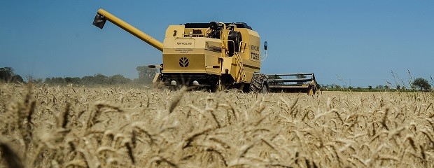 Las exportaciones de Entre Ríos crecieron 21 por ciento