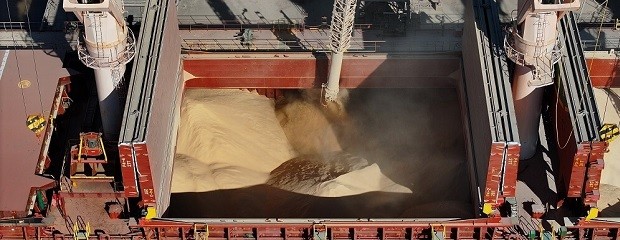 Brasil ya exporta más harina de soja que la Argentina