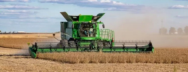 Finalizó la cosecha de soja y la producción caería 22%