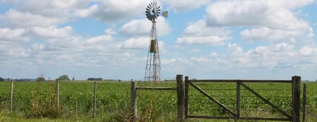 Por cada $100 de renta agrícola, el Estado se queda con $62