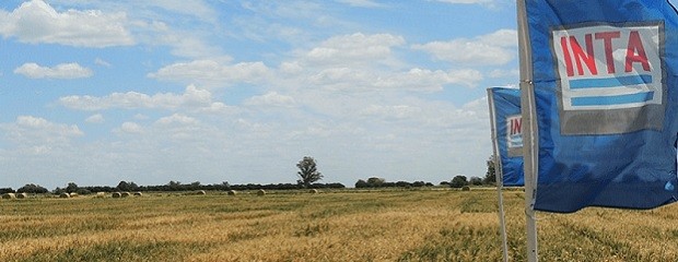 Avanza la reestructuración del INTA y venta de campos