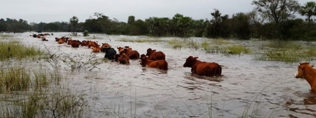 Los productores de islas buscan dónde ubicar su hacienda