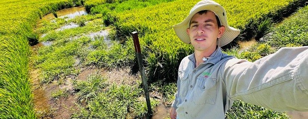 Arroz: los desafíos de una nueva campaña