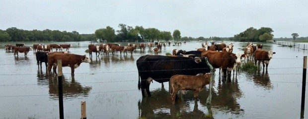 Planificación y documentación al día ante El Niño