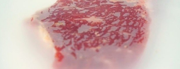Desarrollan film biodegradable para conservar carne vacuna