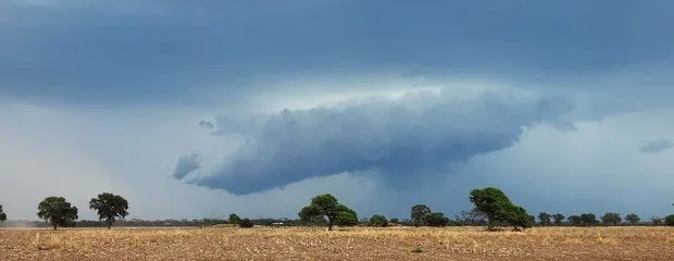 La BolsaCER incorpora pronósticos meteorológicos 