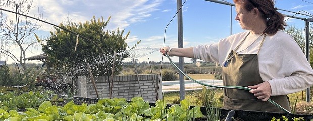 Plantines sin agroquímicos: una experiencia en Villa Elisa