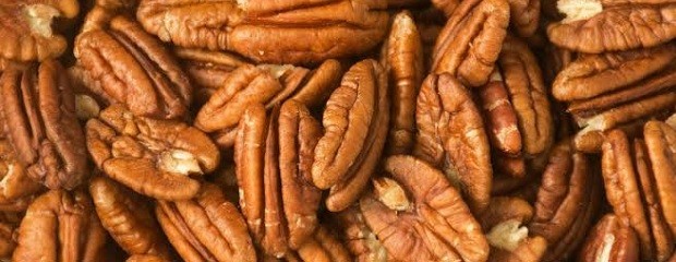 Argentina será sede del IV Simposio Sudamericano de Pecán