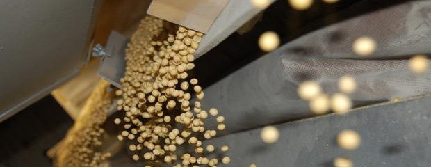 Mejora el poder de compra del agro, pero persisten brechas