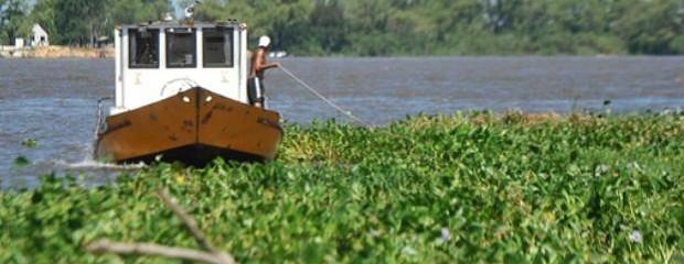 El Niño: Declaran la emergencia hídrica en Entre Ríos
