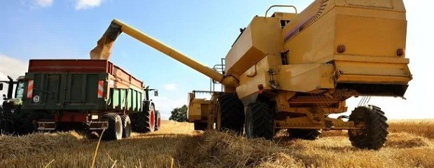 El crédito al sector agropecuario creció un 37% interanual
