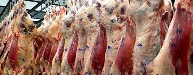 Europa refuerza controles sanitarios: Qué pasa con Argentina