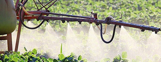 El Superior Tribunal rechazó los dos amparos ambientales