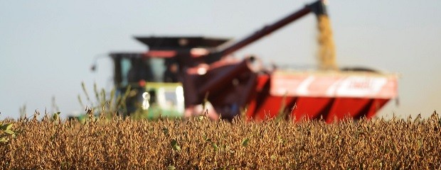 Los impuestos se llevan más de la mitad de la renta agrícola