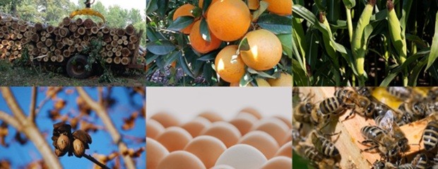 Entre Ríos con diversidad productiva y sustentabilidad  
