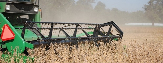 Cómo se financió la campaña agrícola 2025/26