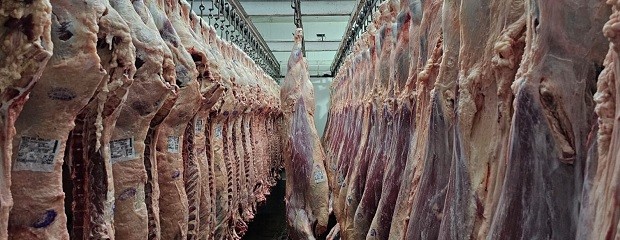 Argentina es el quinto productor mundial de carne vacuna