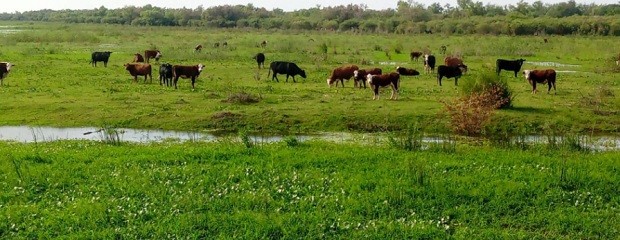 Anticipar la salida de la hacienda reduce riesgos