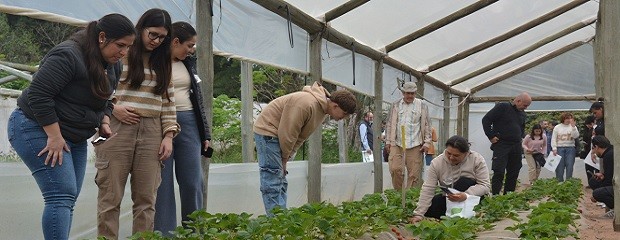 Jornada Hortícola 2026: innovación y producción