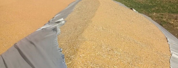 Vandalismo rural: ya tiene media sanción la ley