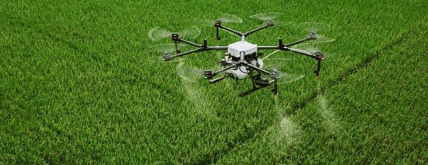  Drones, año Niño y cultivos sensibles de Entre Ríos