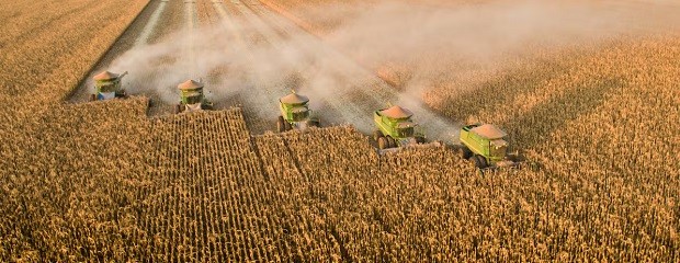 Brasil: qué puede cambiar para el agro argentino